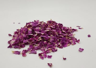 IMG-20190801-WA0016 (1)